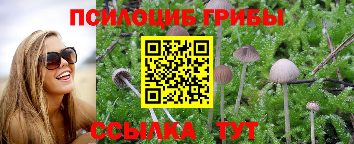 Галлюциногенные грибы ЛСД Волгоград