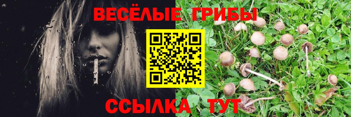 Галлюциногенные грибы ЛСД  Вход с VPN  Волгоград  наркошоп  Галлюциногенные грибы мицелий 